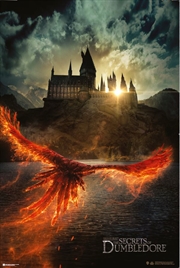 Buy Fantastic Beasts : The Secrets of Dumbledore