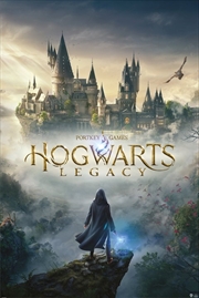 Buy Harry Potter - Hogwarts Legacy - Reg Poster
