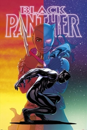 Buy Black Panther: Wakanda Forever - Colour Split