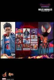 Buy Spider-Man: Across the Spider-Verse - Miles Morales 1:6 Scale Action Figure