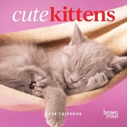 Buy Cute Kittens | 2024 12 x 24 Inch Monthly Square Wall Calendar