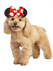Buy Minnie Mouse Pet Accessory - Size M-L