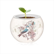 Buy 3d Flowerpot Birds And Flowers 