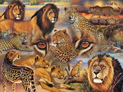 Buy Big Cats Of The Plains 500 Piece