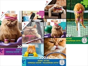 Buy Cranky Kitties 300 Piece XL Assorted (SENT AT RANDOM)