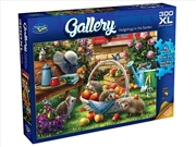 Buy Gallery 9 Hedgehogs 300 piece XL