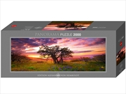 Buy Panorama Oak Tree 2000 Piece