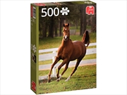 Buy Playful Foal 500 Piece