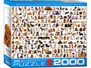 Buy The World Of Dogs 2000 Piece