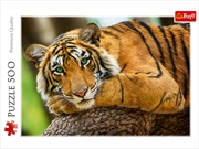 Buy Tiger Portrait 500 Piece