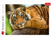 Buy Tiger Portrait 500 Piece