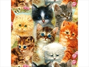 Buy A Pile Of Kittens 1000 Piece
