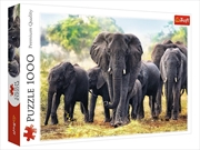 Buy African Elephants 1000 Piece