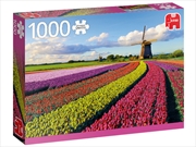 Buy Field Of Tulips 1000 Piece