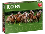 Buy Haflinger Horses 1000 Piece