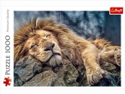 Buy Sleeping Lion 1000 Piece
