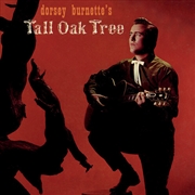 Buy Dorsey Burnettes Tall Oak Tree