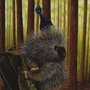 Buy Low Budget High Fi Music