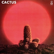 Buy Cactus