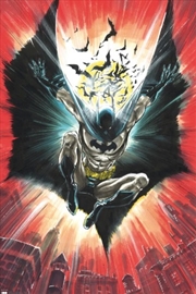 Buy Dc Comics Batman 100th Ann Poster