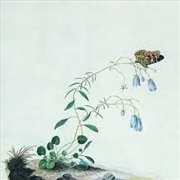 Buy I: The Suicide Tree / II: A Rose From The Dead