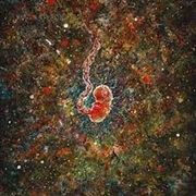 Buy Trench Of Loneliness