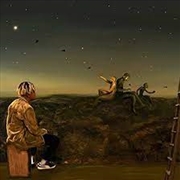 Buy From A Birds Eye View