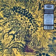 Buy Little Sunflower