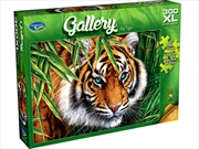 Buy Gallery 8 Big Tiger 300 Piece Xl