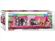 Buy Kitty Cat Couch Panoramic 1000 Piece 