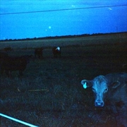 Buy Antarctica - Dark Blue