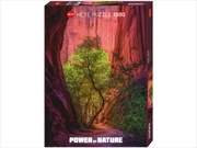 Buy Power Of Nature Singing Canyon 1000 Piece