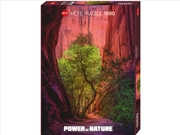 Buy Power Of Nature Singing Canyon 1000 Piece