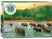 Buy Rainforest 1000 Piece