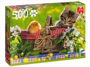 Buy Ready For A Picnic 500 Pieces