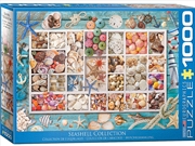 Buy Seashell Collection 1000 Piece
