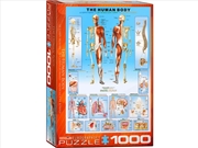 Buy The Human Body 1000 Piece