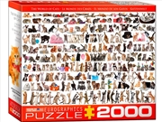Buy The World Of Cats 2000 Piece