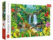 Buy Tropical Forest 2000 Piece