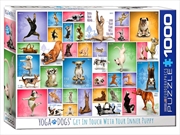 Buy Yoga Dogs 1000 Piece