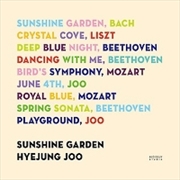 Buy Sunshine Garden