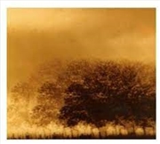 Buy Infinite Light Ltd