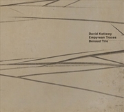 Buy David Kotlowy Empyrean Trace