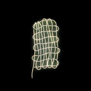 Buy Plural Not Possessive