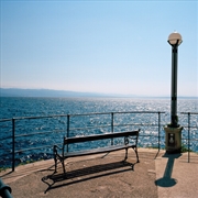 Buy Any-Angled Light