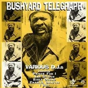 Buy Bushyard Telegraph