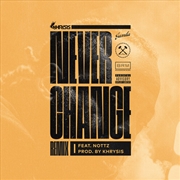 Buy Never Change: Nottz Remix