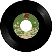 Buy Water B/W Flies On The Tv