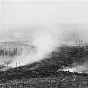 Buy Empty Expanding Collapsing