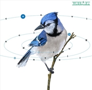 Buy Convincing Delusional